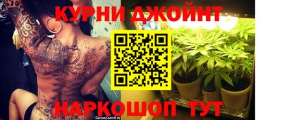 шишки Будённовск