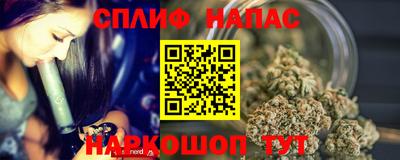 шишки Будённовск