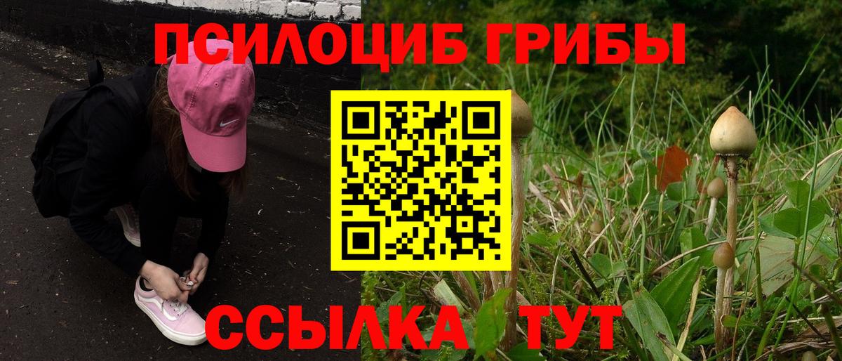 где можно купить   Вход с VPN  Богородицк  Псилоцибиновые грибы ЛСД 